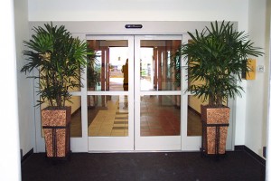 Lobby Entryway Indoor Plants Las Vegas