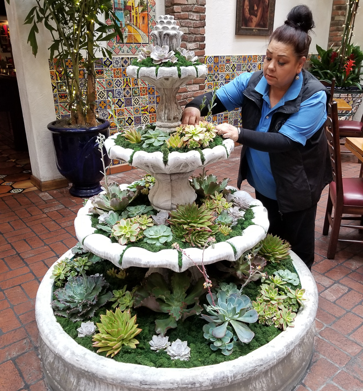 Sandra Ortiz, in-house design liaison for Angels Interior Plant Design